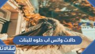حالات واتس اب حلوه للبنات 2025 اجمل حالات بنات حلوة للواتس