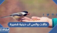 حالات واتس اب دينية قصيرة 2025 اجمل حالات دينيه قصيره للواتس