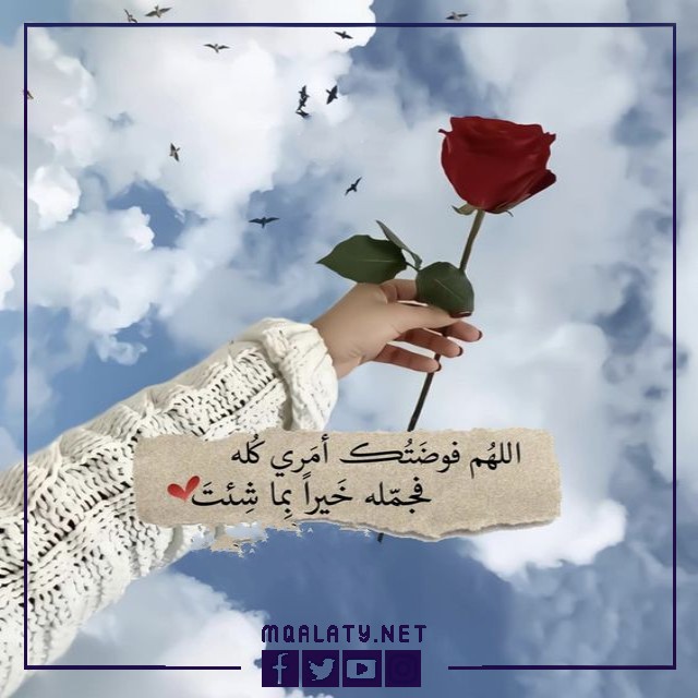 حالات واتس اب للبنات دلع