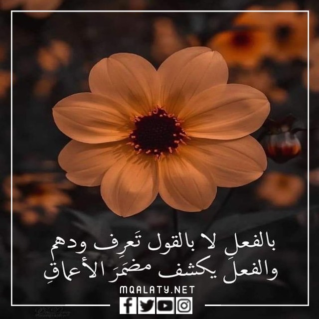 حالات واتس دينية مؤثرة للبنات