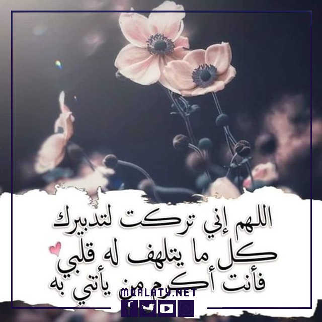 حالات واتس روعة ومعبرة دينيه
