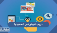 كيفية عمل مشروع دروب شيبنج في السعودية 2026