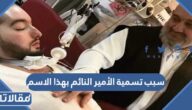 ما هو سبب تسمية الأمير النائم بهذا الاسم