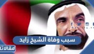 ما هو سبب وفاة الشيخ زايد بن سلطان آل نهيان