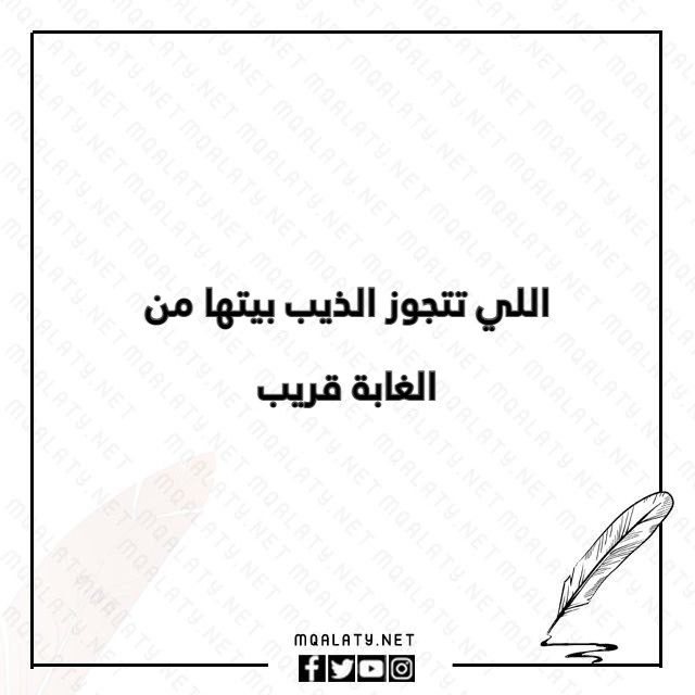 صور امثال حجازية