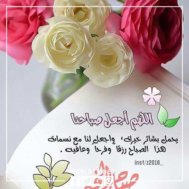 صور حالات واتس اب 2023