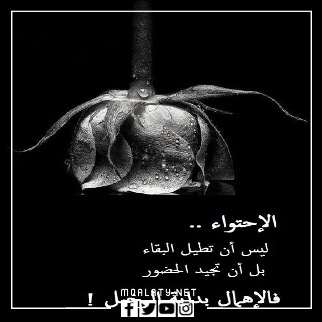 صور حَالات وَاتس اب حَزينه للبَنات