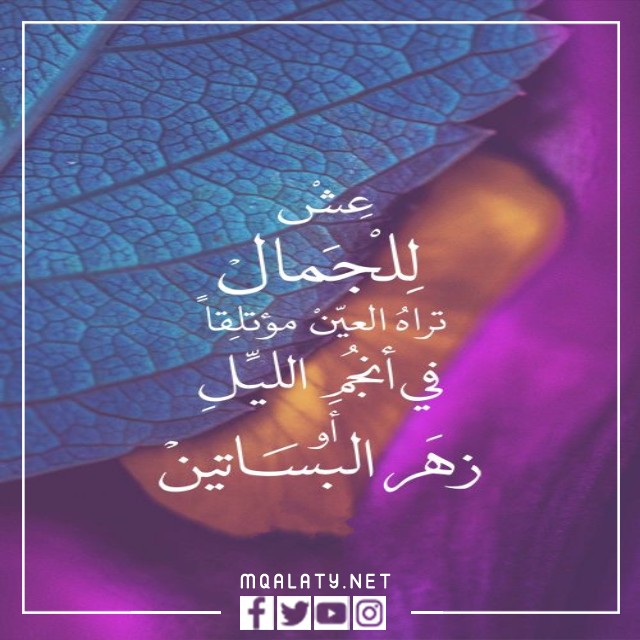 صور رمزيات حالات واتس اب للبنات كيوت
