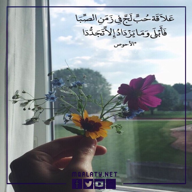 صور رمزيات حالات واتس اب للبنات كيوت
