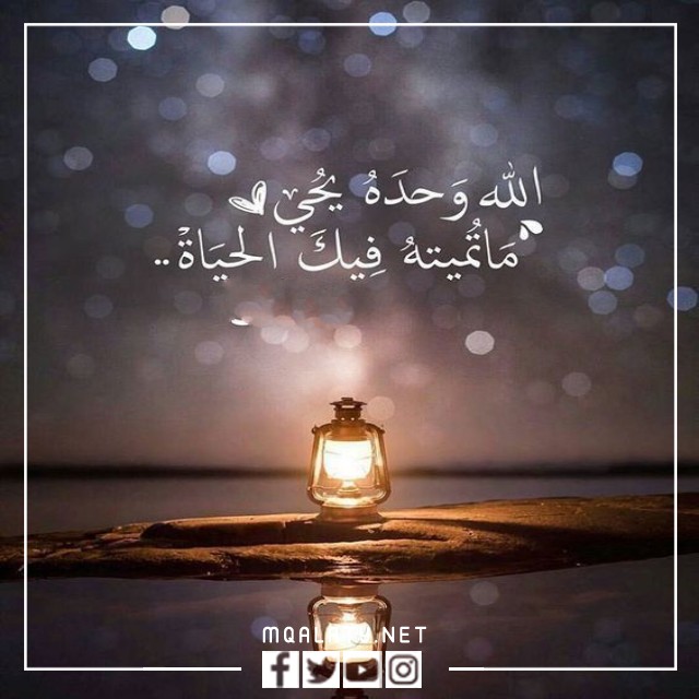 صور رمزيات حالات واتس اب للبنات كيوت