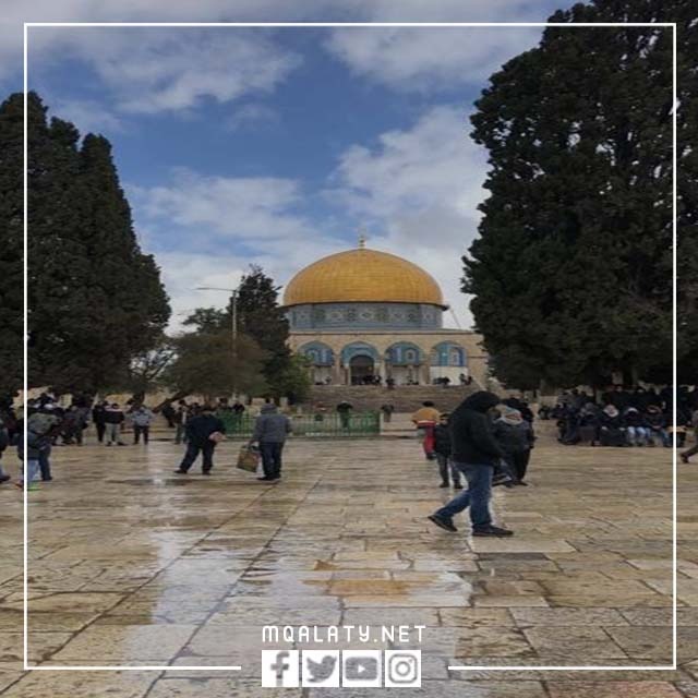 صور ملهمة لأجل دعم القضية الفلسطينية