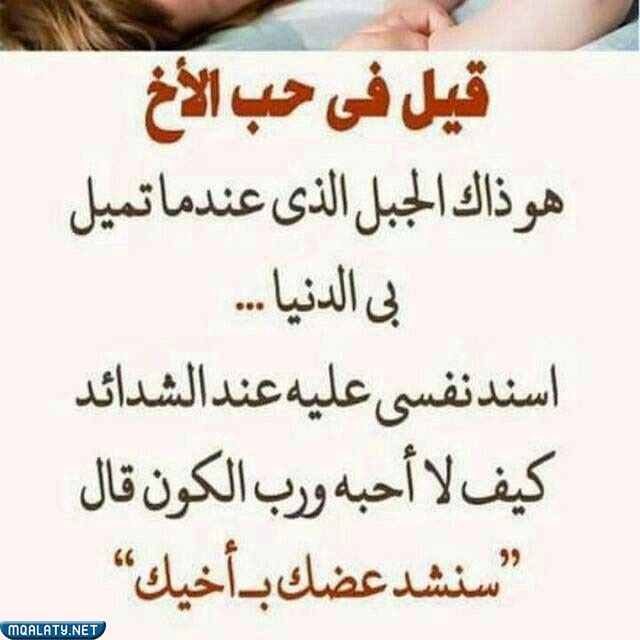 عبارات عن اليوم العالمي للاخ بالصور
