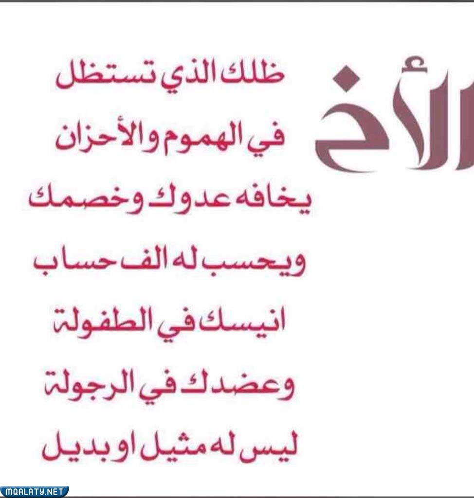 عبارات عن اليوم العالمي للاخ بالصور