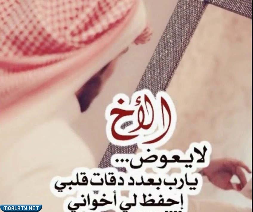 عبارات عن اليوم العالمي للاخ بالصور