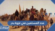 كم كان عدد المسلمين في غزوة بدر