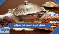 فضل صيام الست من شوال