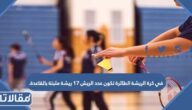 في كرة الريشة الطائرة تكون عدد الريش 17 ريشة مثبتة بالقاعدة.