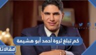 كم تبلغ ثروة أحمد أبو هشيمة