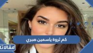 كم ثروة ياسمين صبري