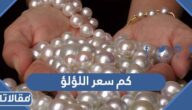 كم سعر اللؤلؤ