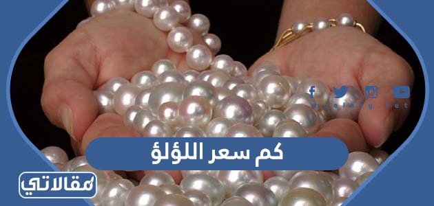 كم سعر اللؤلؤ