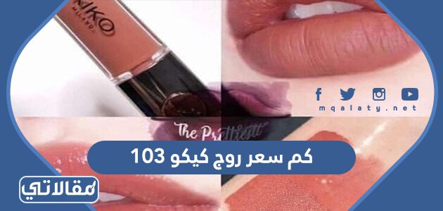 كم سعر روج كيكو 103