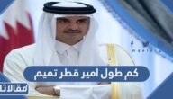 كم طول امير قطر تميم بن حمد آل ثاني