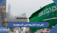 كم عدد الشيعة في السعودية 2025