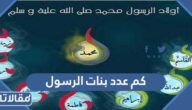 كم عدد بنات الرسول وما هي أسماؤهن