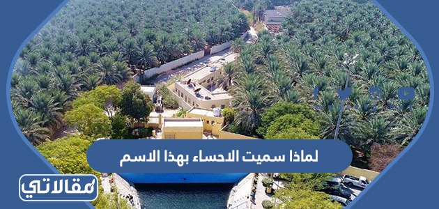 لماذا سميت الاحساء بهذا الاسم