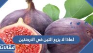 لماذا لا يزرع التين في الارجنتين