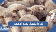 لماذا نحتفل بعيد الاضحى المبارك