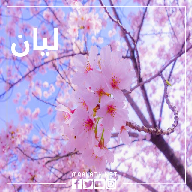 صور خلفيات مكتوب عليها اسم ليان
