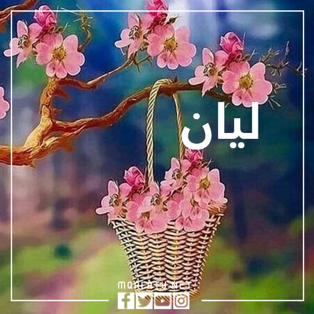 صور اسم ليان بالعربي