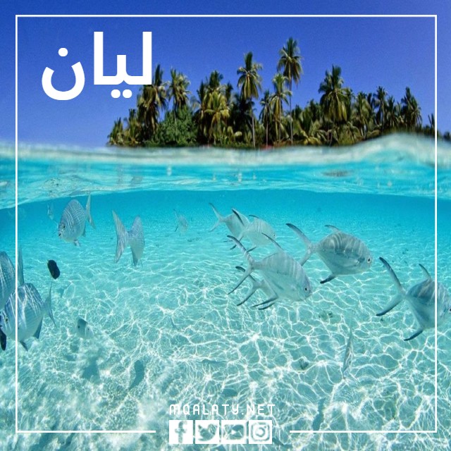 صور خلفيات مكتوب عليها اسم ليان