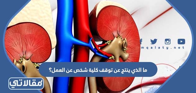 ما الذي ينتج عن توقف كلية شخص عن العمل؟