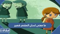 ما معنى لسان المقصر قصير