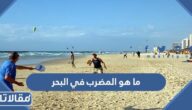 ما هو المضرب في البحر