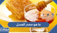 ما هو مصدر العسل