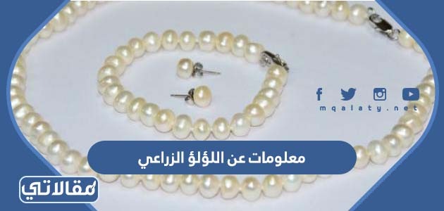 معلومات عن اللؤلؤ الزراعي