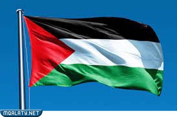 معلومات عن علم فلسطين
