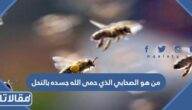 من هو الصحابي الذي حمى الله جسده بالنحل