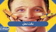نكت نمل 2026 مضحكة موت قصيرة