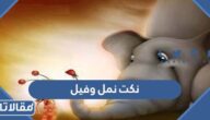 نكت نمل وفيل مضحكة جدا 2025