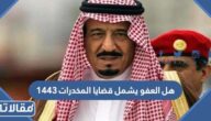 هل العفو يشمل قضايا المخدرات 1444