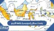 يتحدث سكان إندونيسيا بللغة الأردو