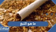 ما هو التبغ وما هي مكوناته وأضراره