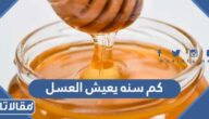 كم سنة يعيش العسل