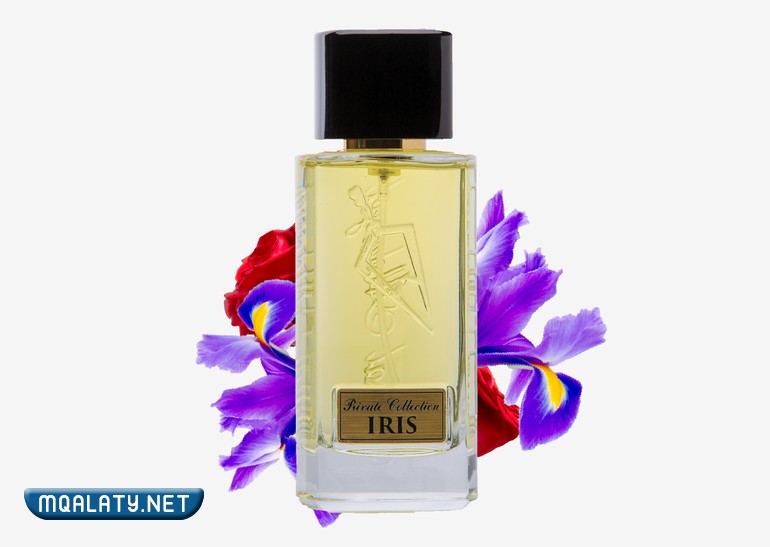 آيرس العطر الأنثوي الأفخم في فيصل الدايل 2023