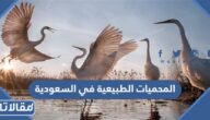 أشهر المحميات الطبيعية في السعودية